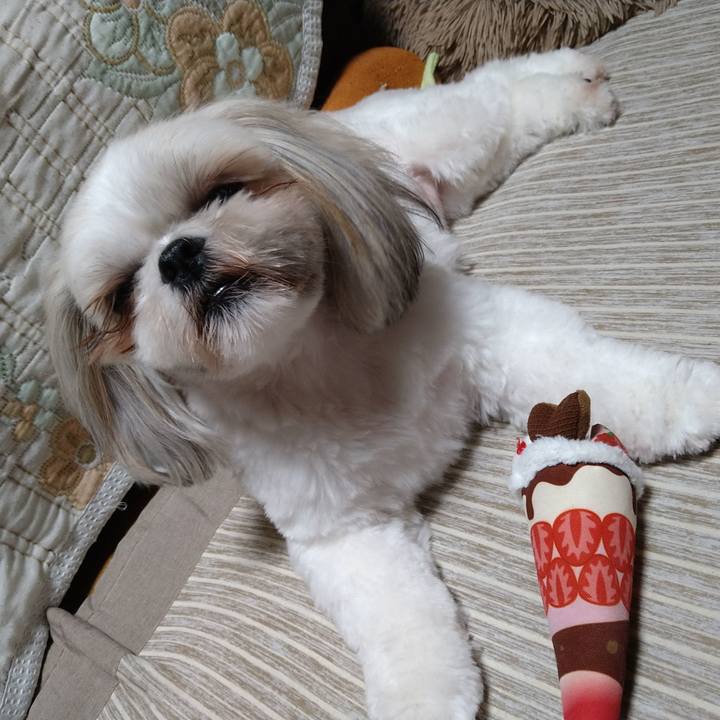 Ae2e9af1 291a 4808 bcb5 dfd3af18e453 1622379378534