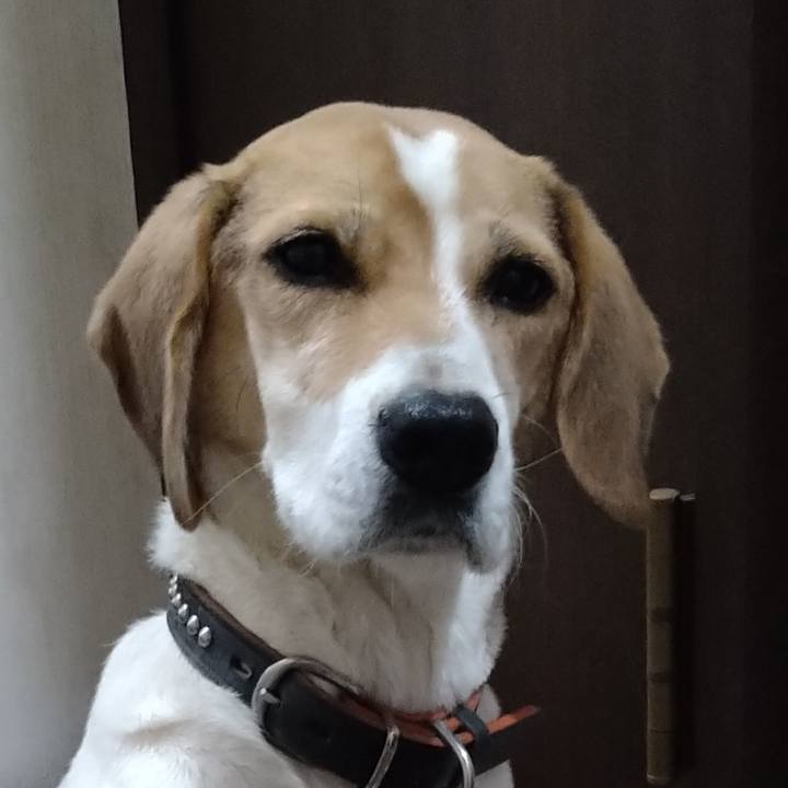 Ae2e9db2 49f6 453a 94fd 0b2810b89a59 1639839820161