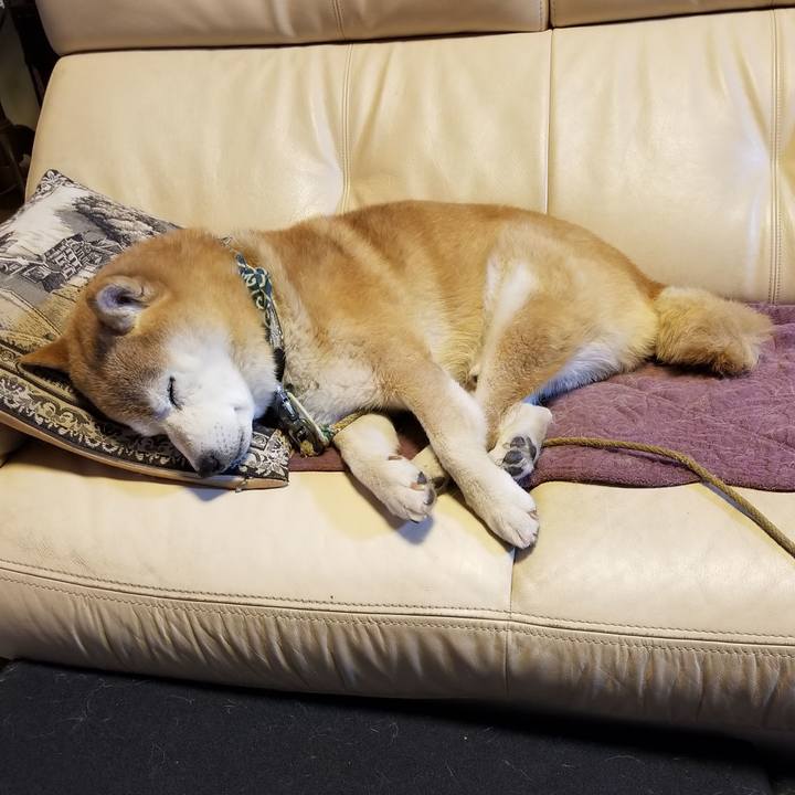 Ae2ebfc9 be5f 4bb0 a374 6e5de7aeb16b 1705489810038