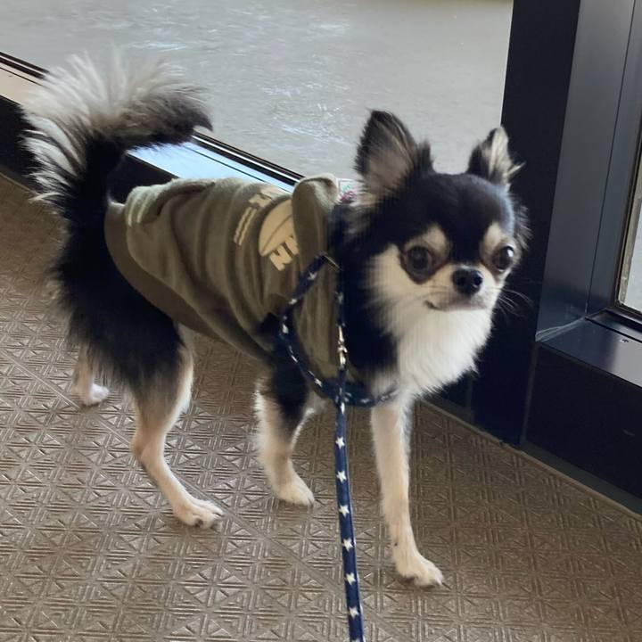 Ae2f5d2e 0857 4fab 9fd8 ef7f819bde7d 1647780843557