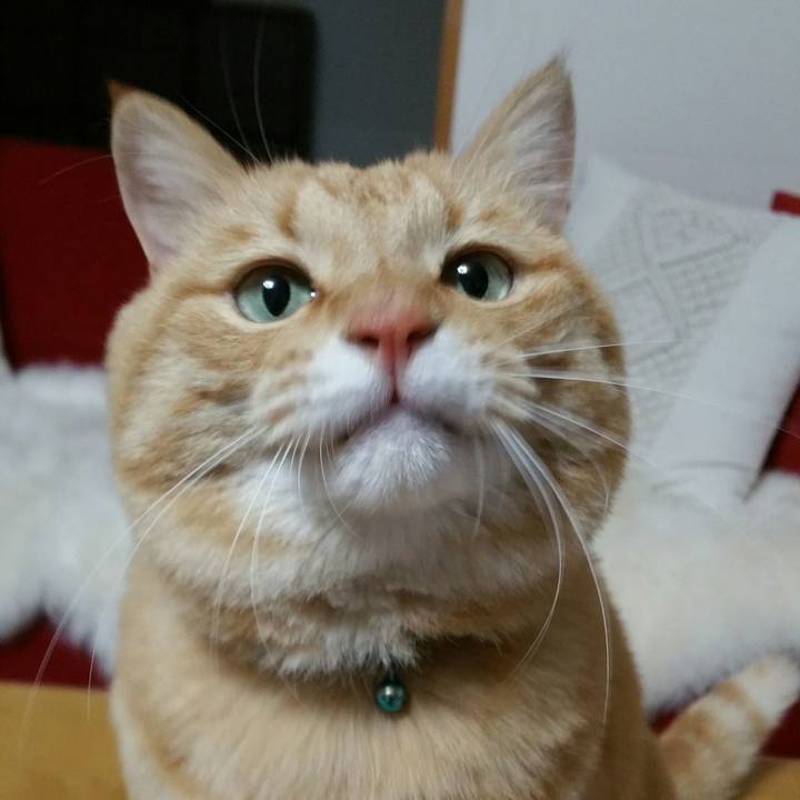 Ae2f5fb3 7db9 48d9 a3ad 0a1ae6809514 1515977481166