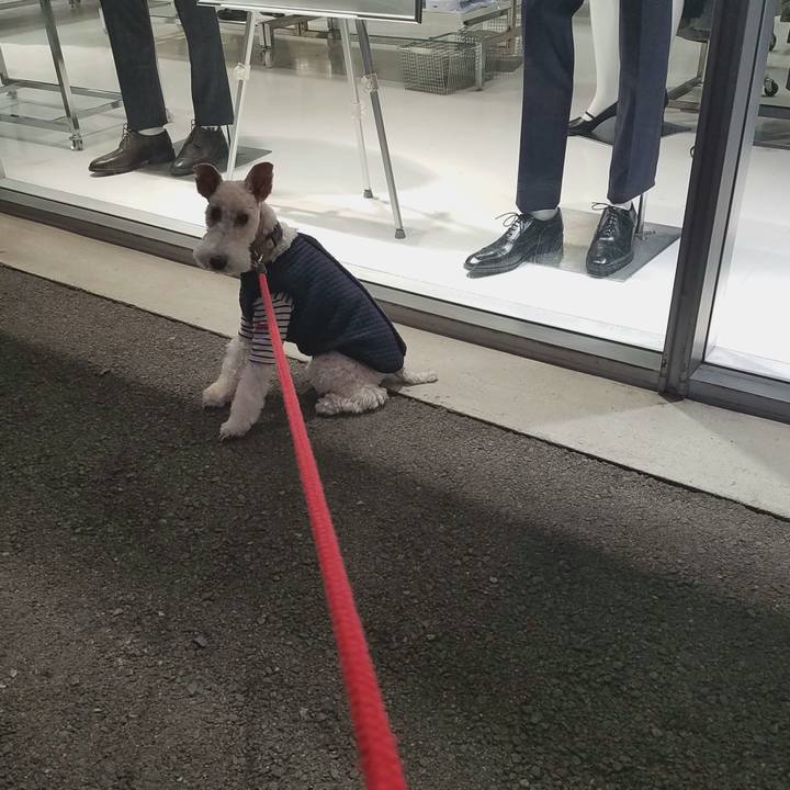 Ae2fec5e 3da9 4839 8e61 2bf5c620ab4e 1575794058623