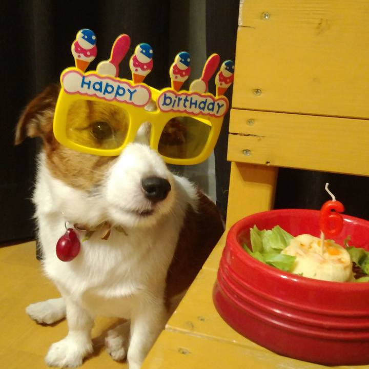 Ae2fecc3 2dff 47e8 b871 82b0f98b8543 1535281244124