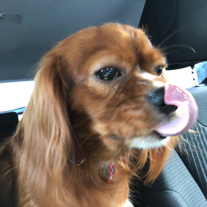 Ae2ffe0a 323b 4cdb ab39 ef09f7a200cb 1535668275741