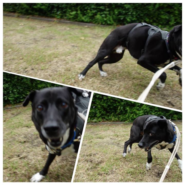 Ae3008c6 44d1 4a45 882f 832690bb21ff 1652657735359