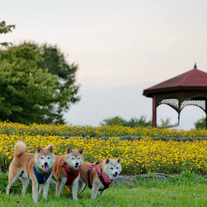 Ae300f92 cfe7 4826 9d9a 4d3d24705b3b 1755011972612