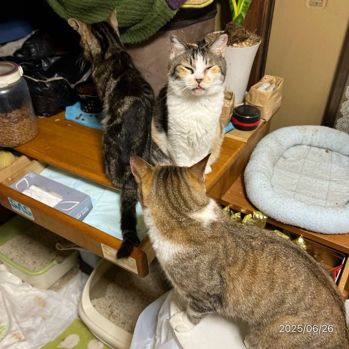 Ae30397a b7cd 4557 8c89 e0d5a2590dd4 1750889087719