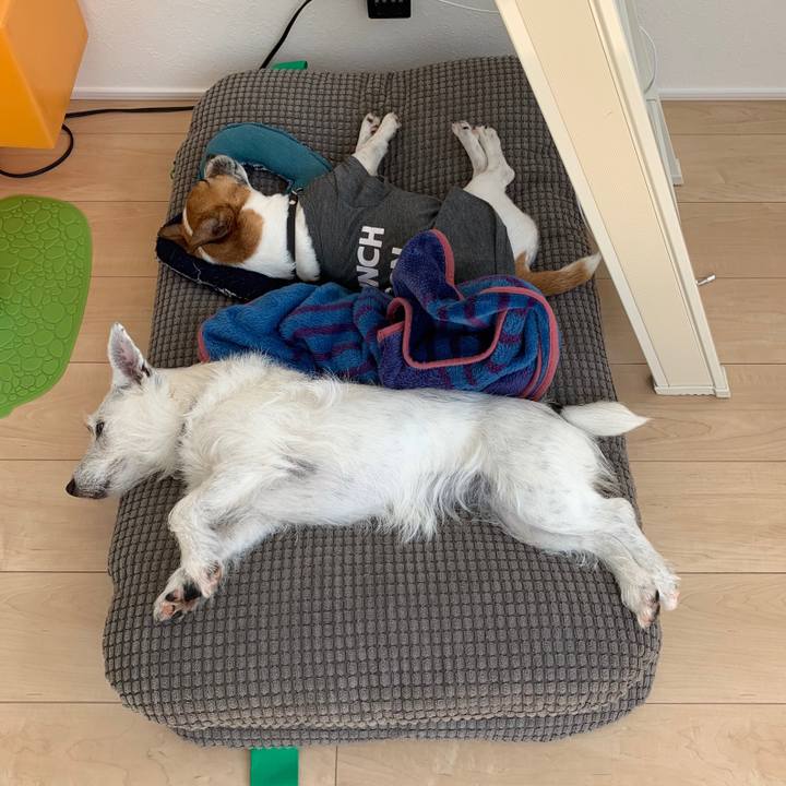 Ae308dc0 0d77 4c3c a2f5 c513a180d7ab 1558069906191