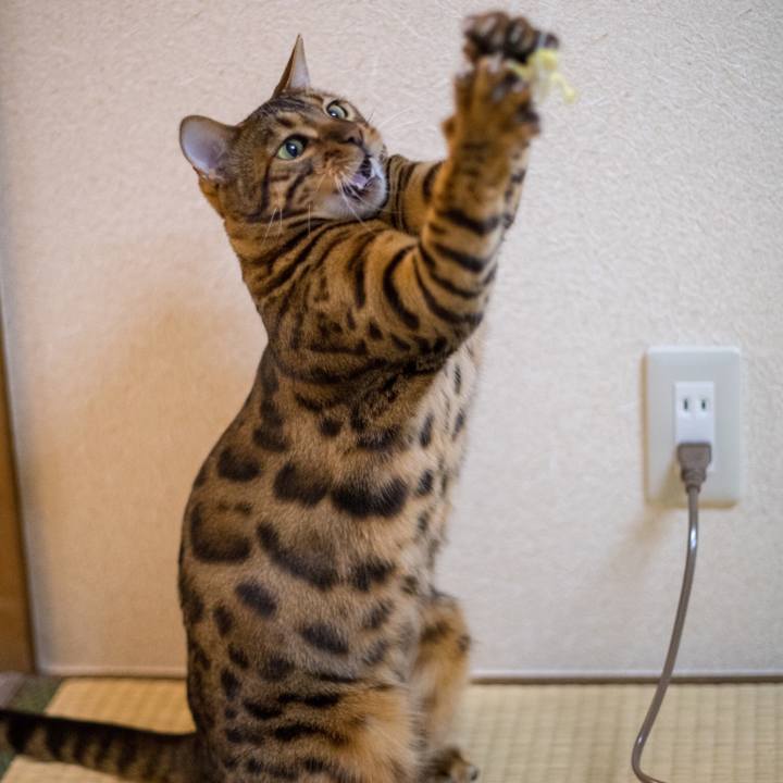 Ae30a501 3fb0 4551 81be 3cfffb147623 1518961169459