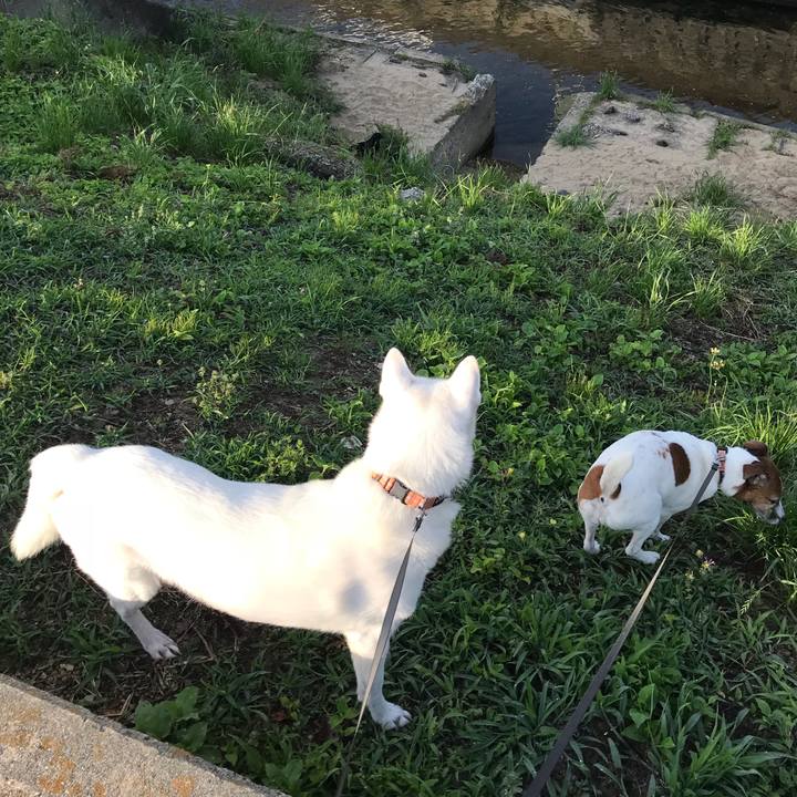 Ae30d73f 827e 40c5 951d d954a79ca6b6 1527379658241