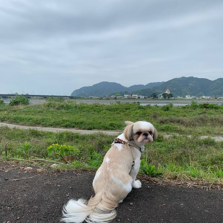 Ae30fea7 fc25 40b0 8775 d9535eb2fe45 1651197787079