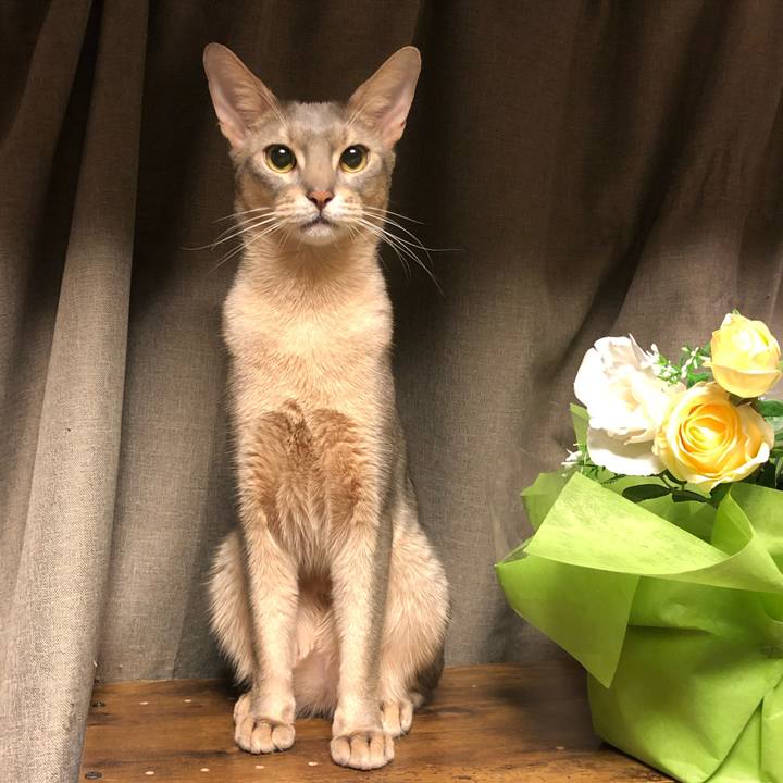 Ae31120d 2b64 4592 8c02 294d35969a92 1764070916772