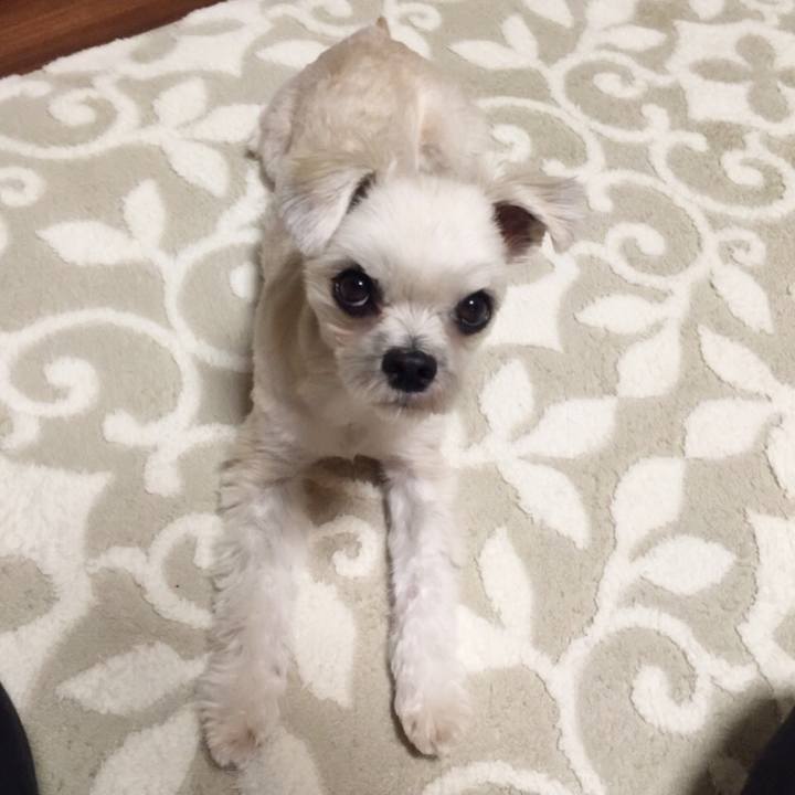 Ae3170d4 f3a1 4c86 a4b2 2a3b4b736d43 1546598058305