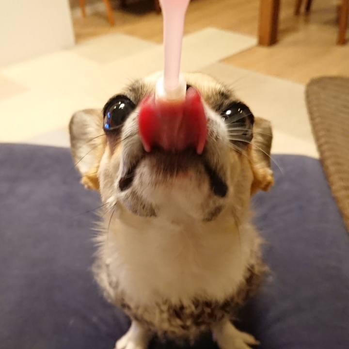 Ae3171f7 dbbf 4097 b3fb 9d49ccfdf584 1575713905208