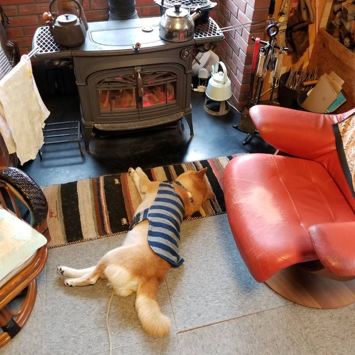 Ae317b34 8a3e 48ca 9bd8 762141286dac 1580255610652