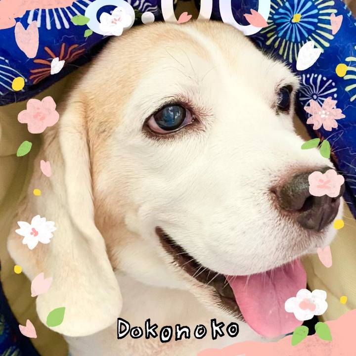 Ae31b7f5 9797 46fa 89a5 6a91aa85fef9 1710994408593