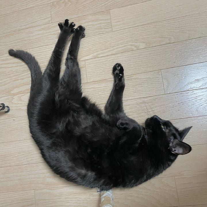 Ae31be96 77f5 4469 a138 402e6493363b 1648127745186