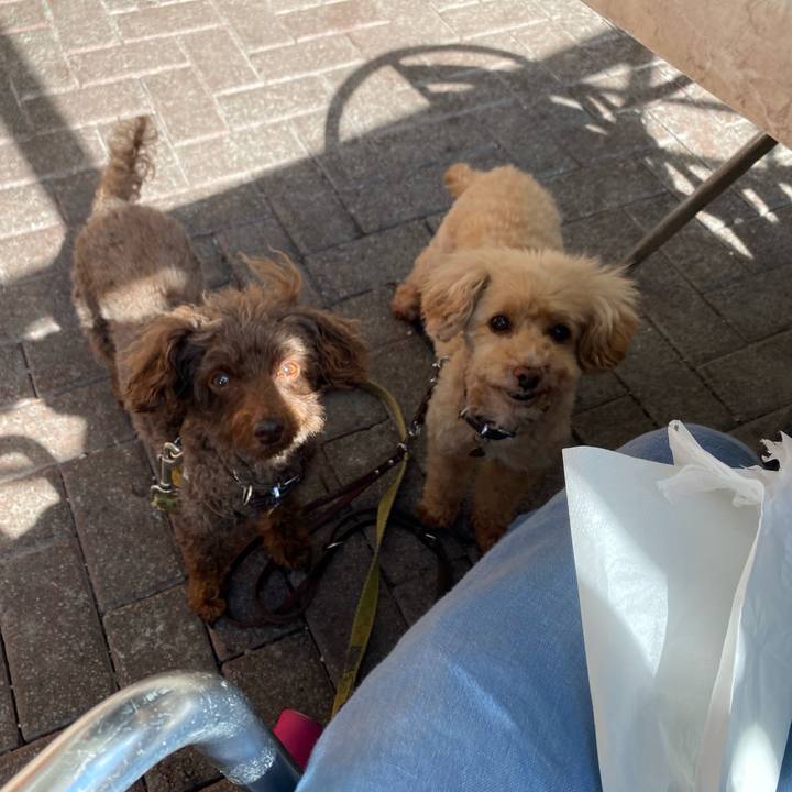 Ae31eb6c eb5c 4bcc 86e5 b3647190a20c 1691424752214