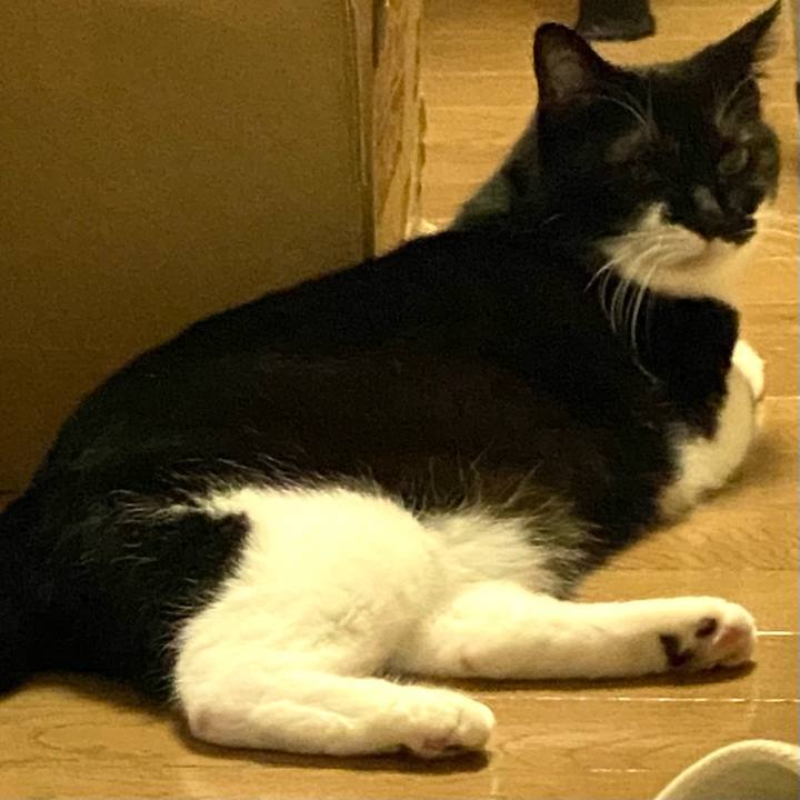 Ae31f6d5 2417 484d 8f47 ac5128857304 1661435272111