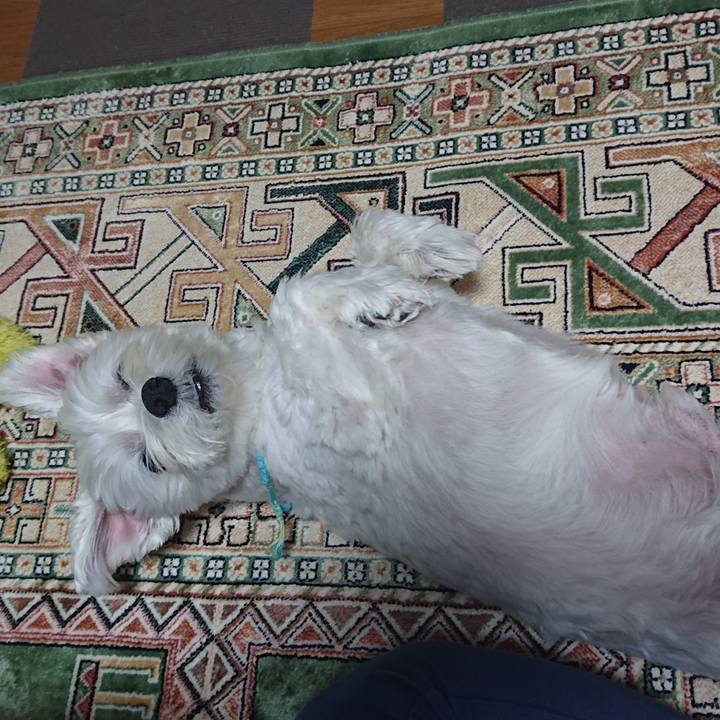 Ae321410 10fc 4b32 b5f3 28ff7ad2ea83 1633960239313