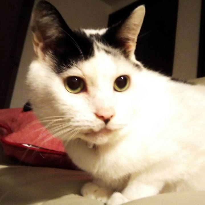 Ae326846 dc6b 4fbb 9574 3055e9021d46 1580225910760