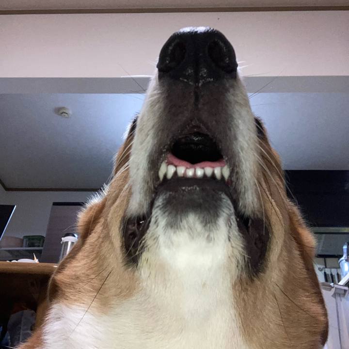 Ae328578 4313 4525 afff 6aaa481eac7b 1720215164457