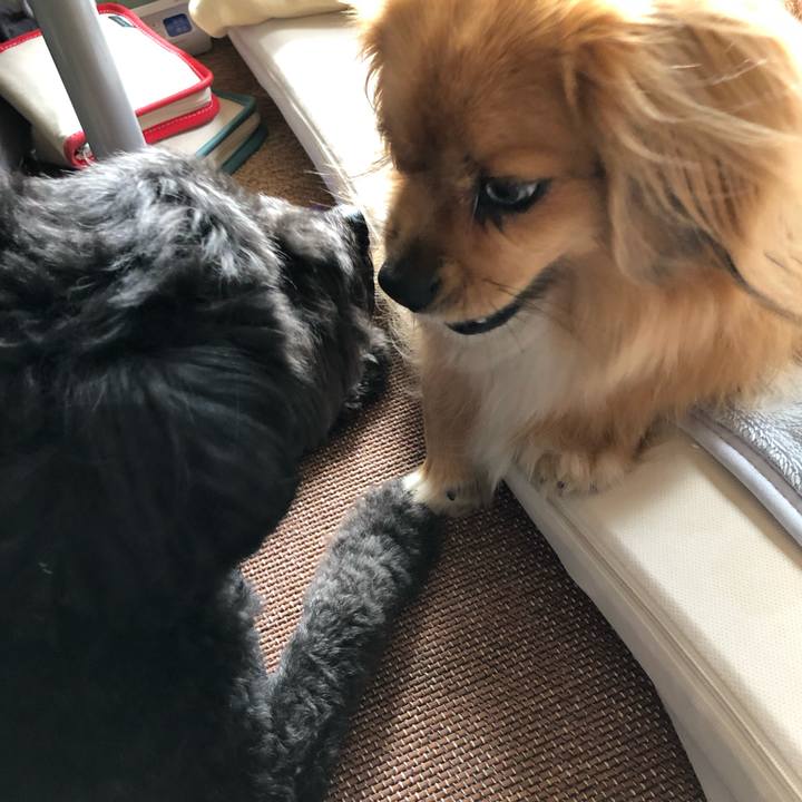 Ae32914c a63e 4095 815c b2101d273fd3 1565832602954