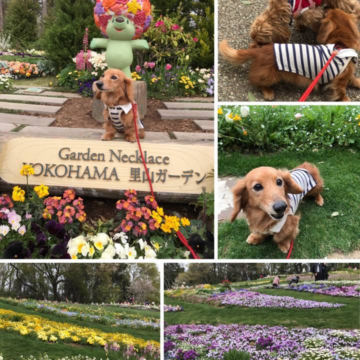 Ae32973c 3a8a 4a55 be51 b856acf1e7ba 1555211100937