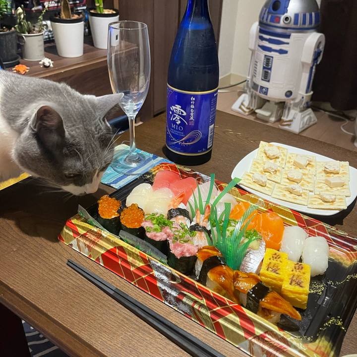 Ae329c22 2af4 4c43 9e5d 91825fadbf40 1747998153928