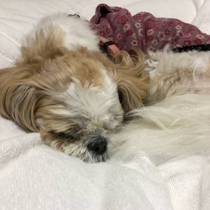 Ae32a372 beca 433a b1bd af3dcf87c182 1542837201829