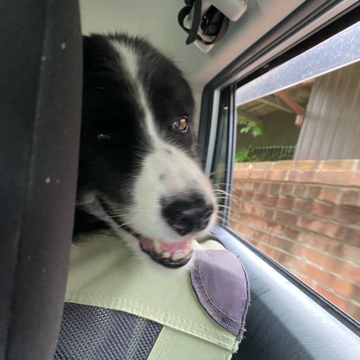 Ae32f49f 7e01 4197 bb18 96b9657d8a0f 1658009195753