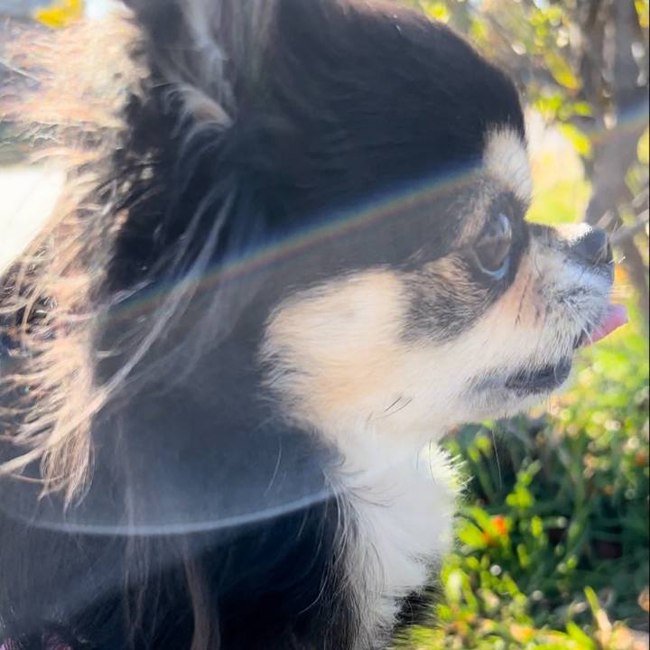 Ae330071 9169 4065 a4b7 0cd42c2e36ec 1686081934579