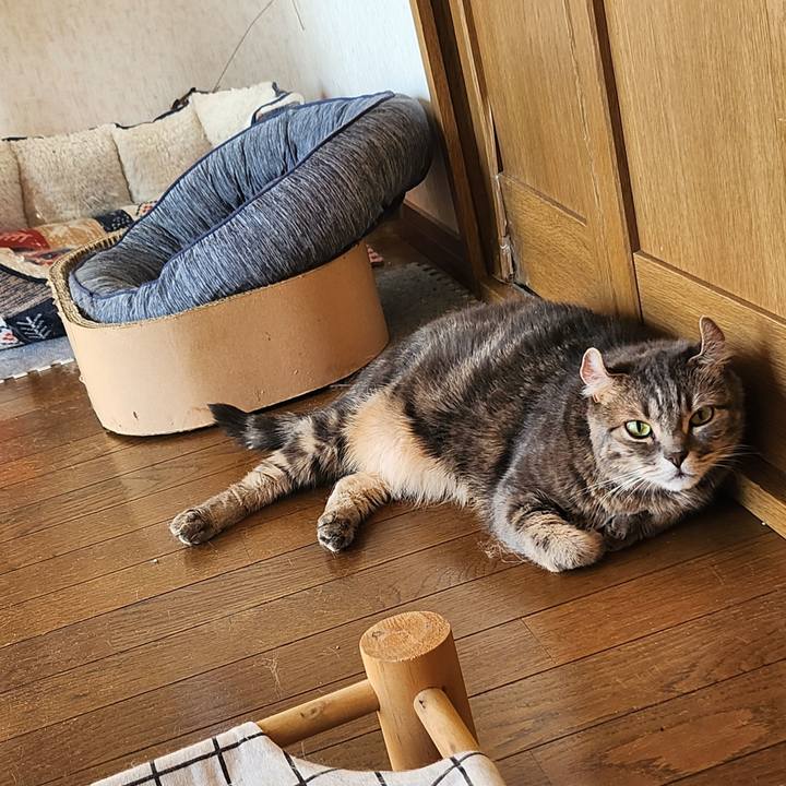 Ae335fe4 8f83 47ce a4c3 9ec9821ad133 1753949584149