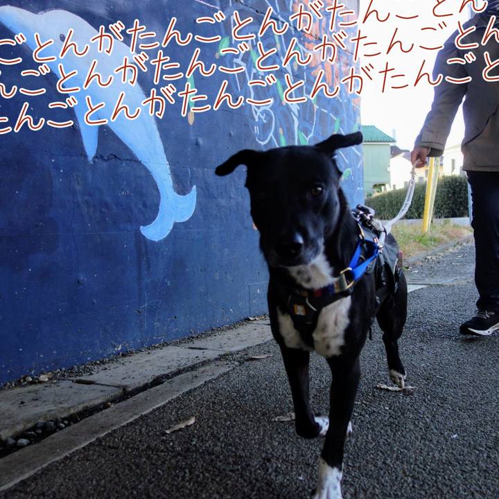 Ae33bc58 37e8 4715 9096 4bd6eb9f99d6 1638492535839