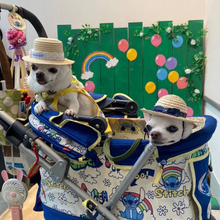 Ae33bc6f b9a4 44a8 b4c0 d3179db71f1d 1591493267082