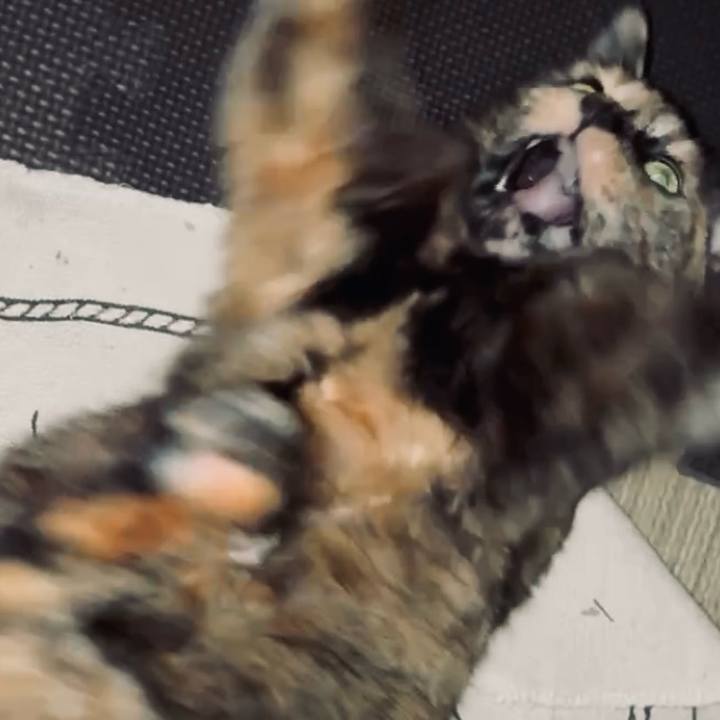 Ae33c842 6c1c 4e82 9cdc 006543faf6ff 1745696762771