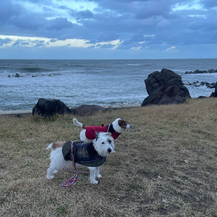 Ae33d0f7 1e46 407e 8006 ca2de2c0c360 1733266012407