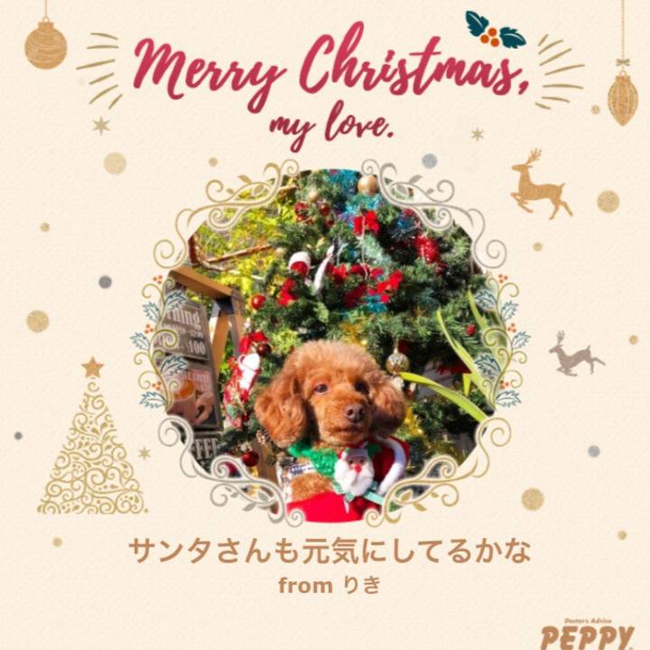 Ae344a44 9b29 49a7 863a 397eba96a2e8 1608787059575