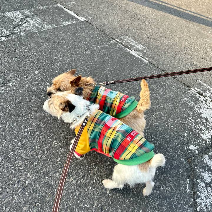 Ae351990 7c7d 4739 93a2 ee3a254b4581 1739631603782