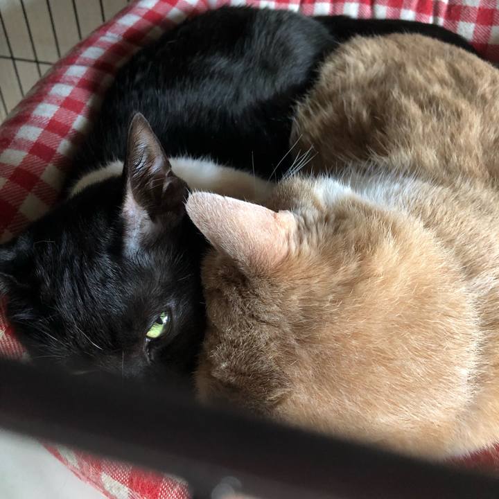 Ae351a9f 6913 45f5 a187 46e03372a247 1548559611611