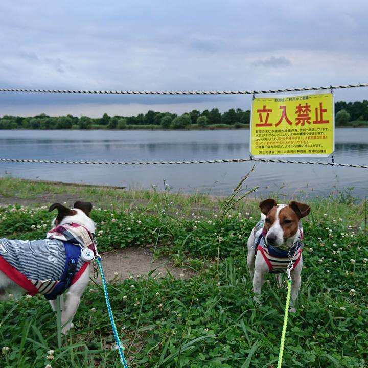 Ae359891 1993 48d3 9bb6 1089b7d7b8a9 1562750218373