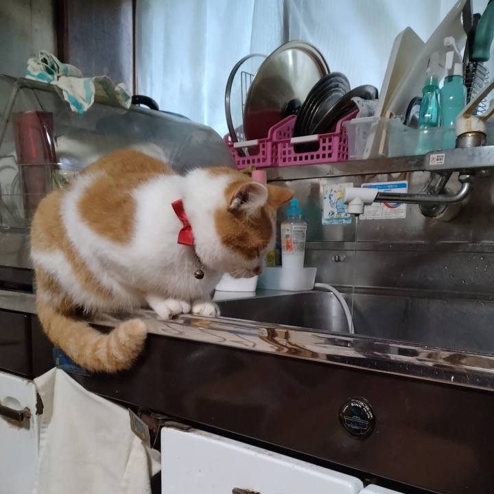 Ae359cba 318b 4b1e b971 5b47b2676082 1761690010058