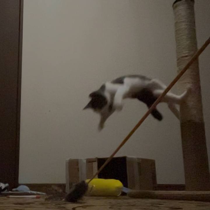 Ae359e49 40ef 4951 a17d 17ef5efe851d 1724596674598