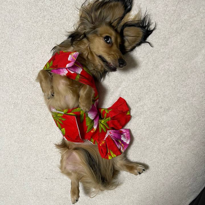 Ae35b33e 773b 487f b31e cbcef215e079 1660565791977