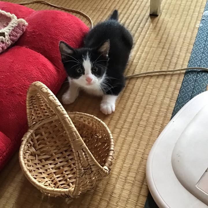 Ae35c132 9e55 4ea0 8563 2fc6702603db 1624149578071