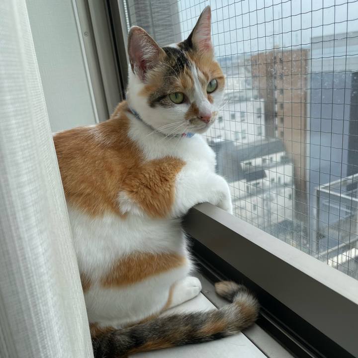 Ae35c18a f71e 4727 ac3b c6b930c1d8b7 1688869236239