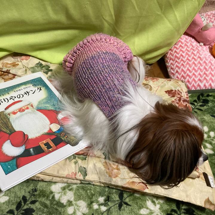 Ae35cade 2753 4550 bc16 f495bd798b7e 1640420252644