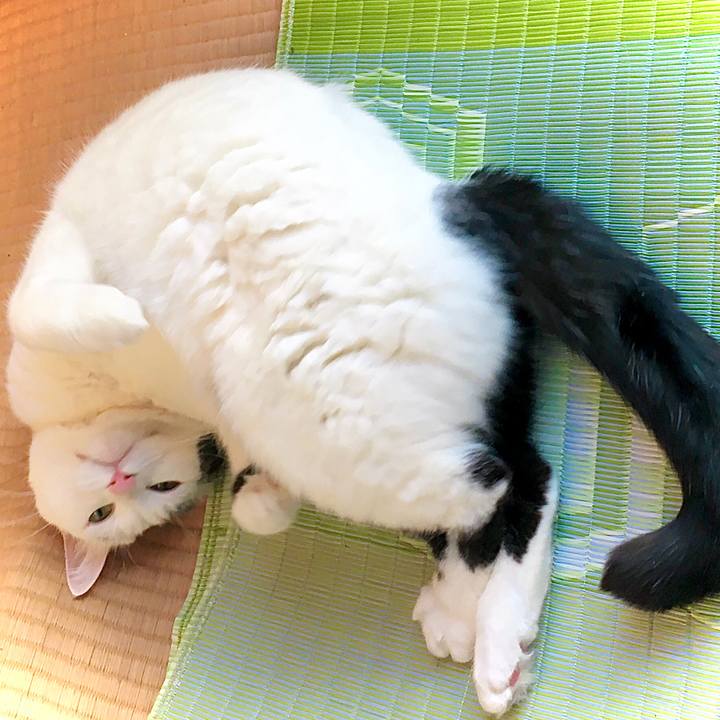 Ae35f3f5 0964 4df6 a4b1 fd9d08820d46 1612150445693