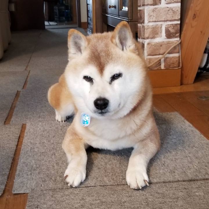 Ae3682e2 f0a3 4d89 8b64 b8f9d381e3e3 1741305143625