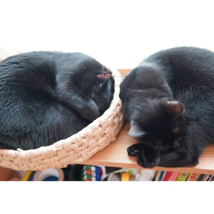 Ae36954d d724 442a 8bac 84bc6b11f243 1590552692963